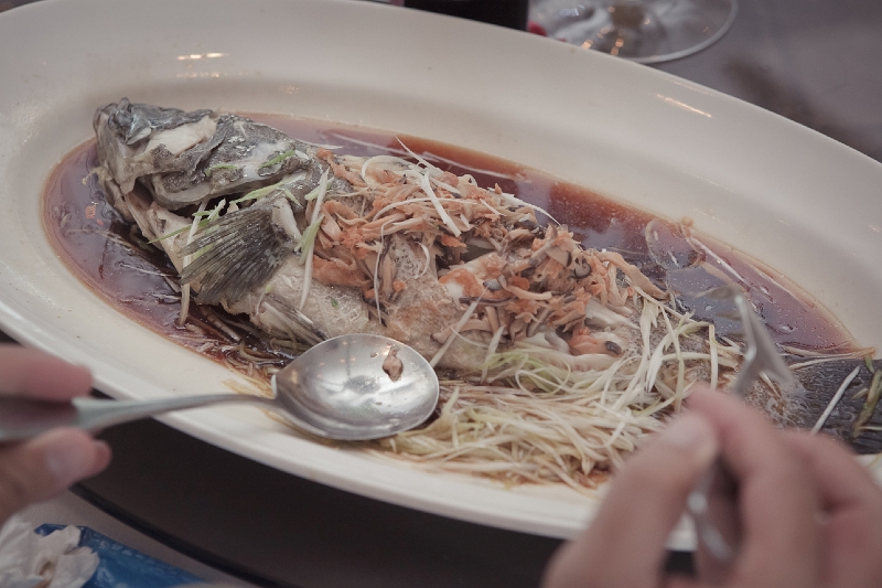20110605141951.jpg